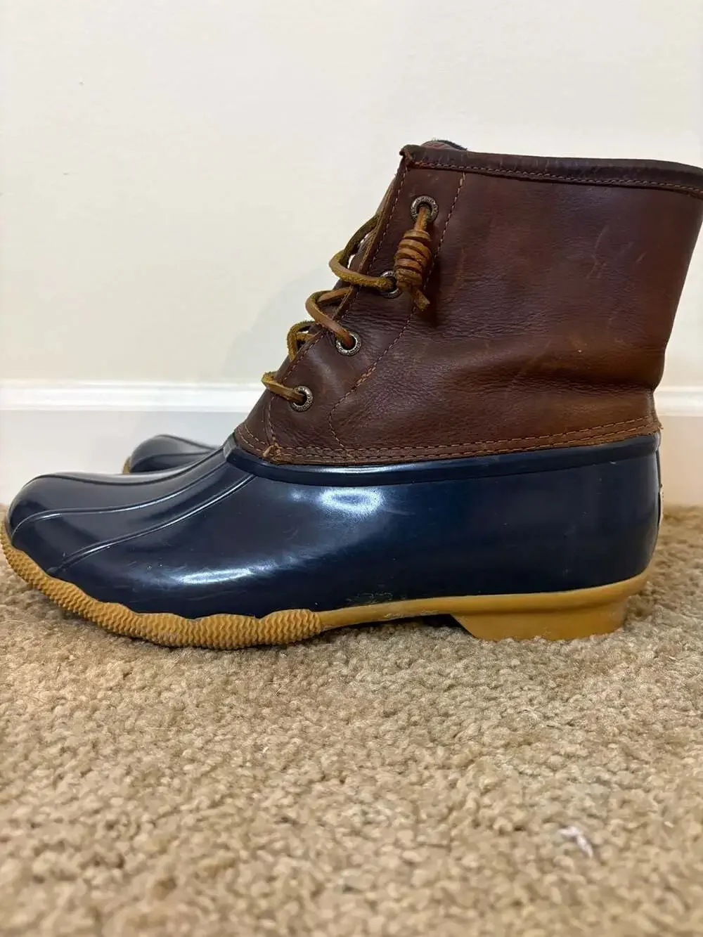 Sperry saltwater duck